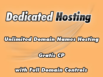 Top dedicated server services
